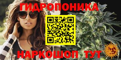 МДМА Новозыбков